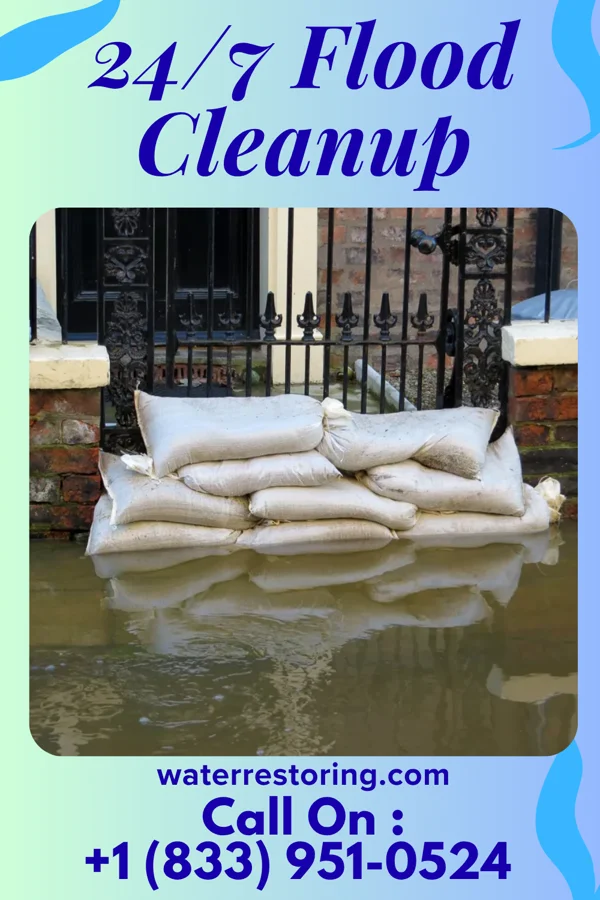 24/7 Flood Cleanup in Otter Lake, NY
