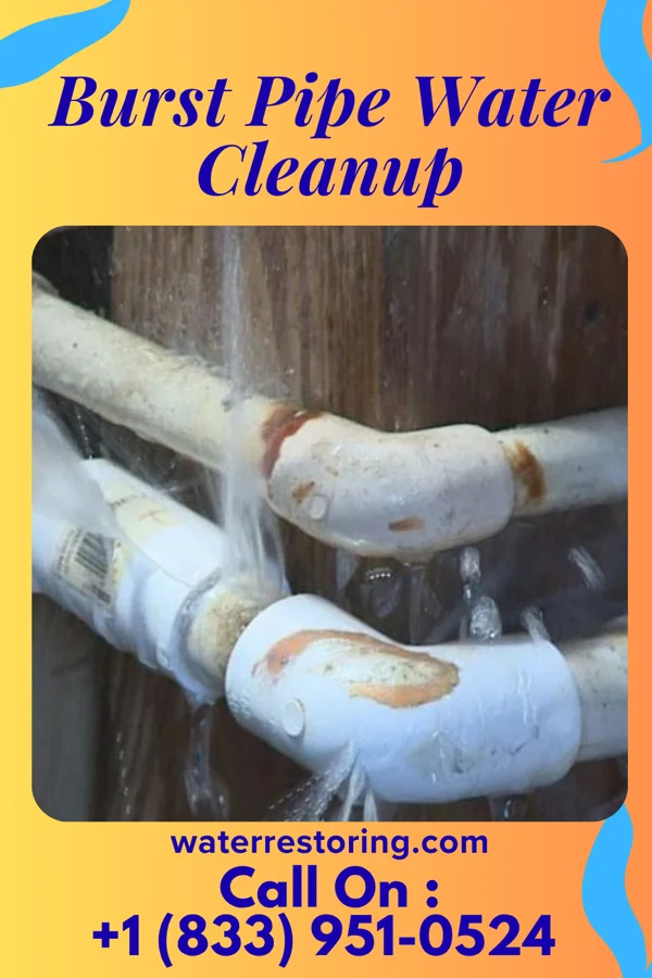 Burst Pipe Water Cleanup in Otter Lake, NY