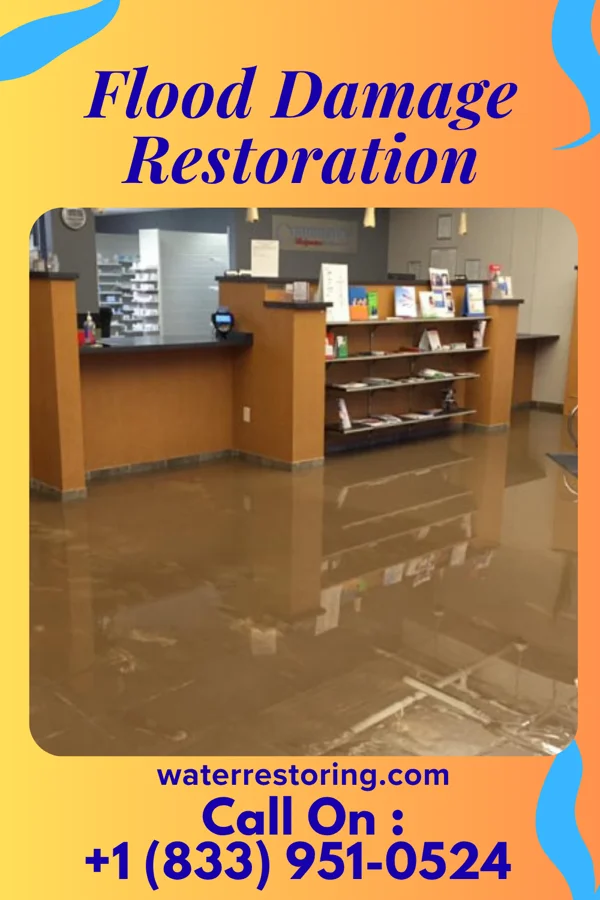 Flood Damage Restoration in Otter Lake, NY