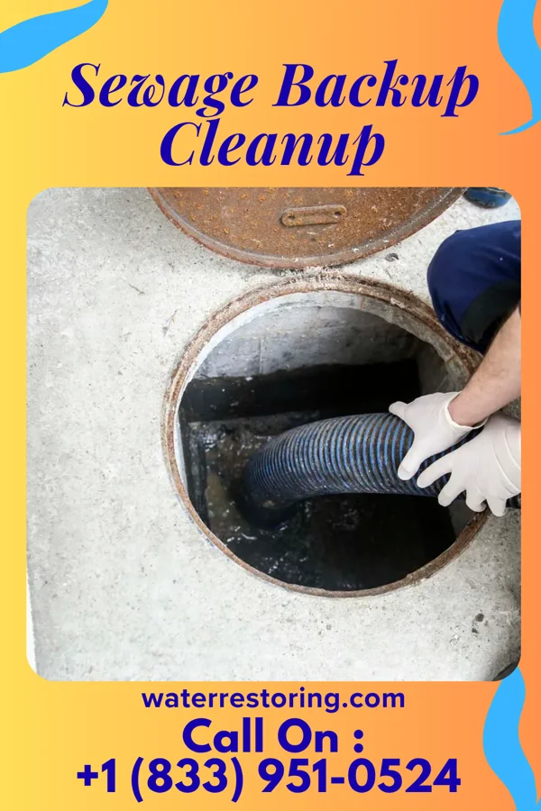 Sewage Backup Cleanup in Otter Lake, NY