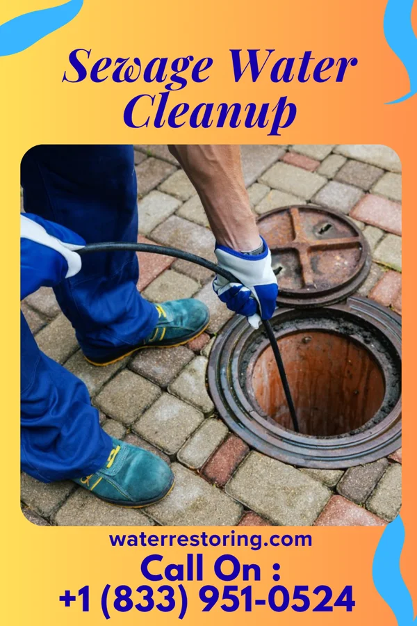 Sewage Water Cleanup in Otter Lake, NY