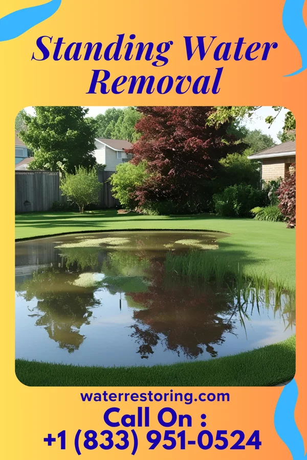 Standing Water Removal in Otter Lake, NY